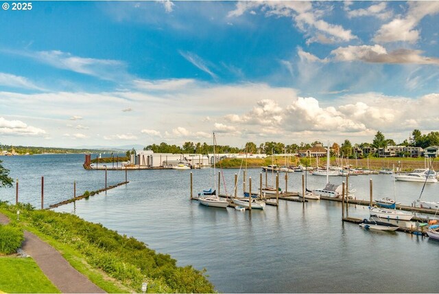 dock area with a water view