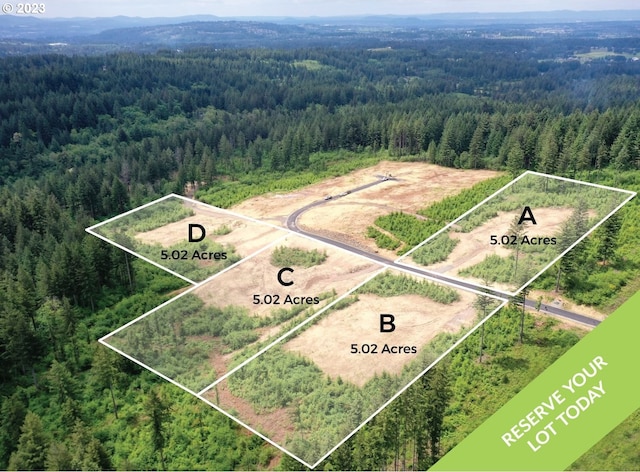 NE 48th Way Lot A, Lot A, Camas WA, 98607 land for sale