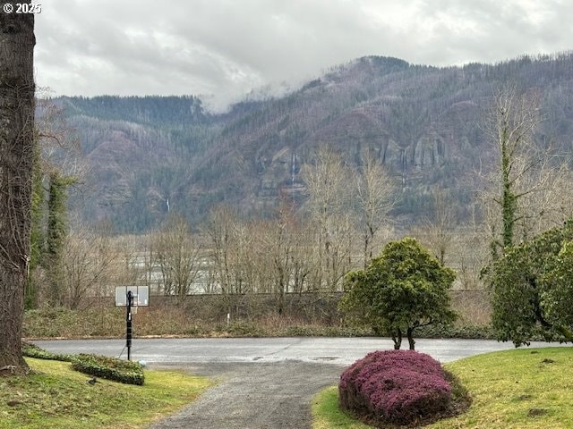 view of mountain feature with a water view and a forest view