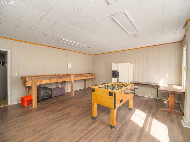 playroom featuring dark hardwood / wood-style floors