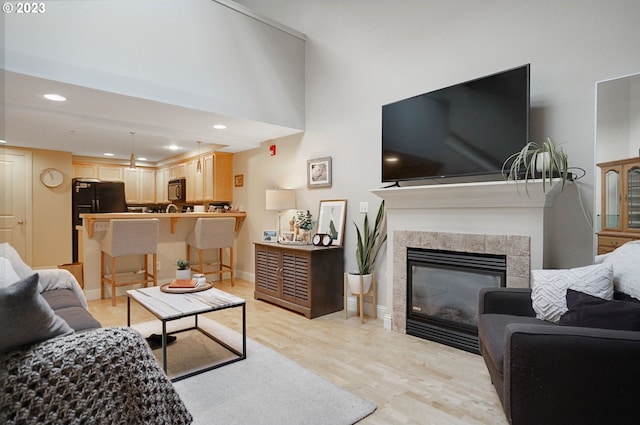 living room featuring light wood-type flooring and a fireplace