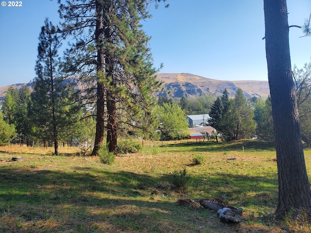 001 S Alder, Wallowa OR, 97885 land for sale