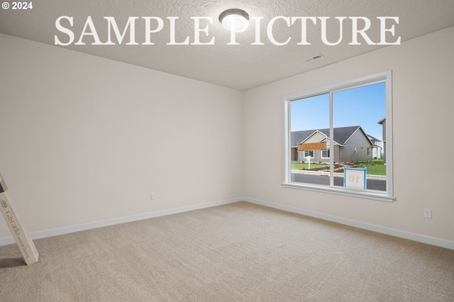 unfurnished room featuring carpet and a textured ceiling