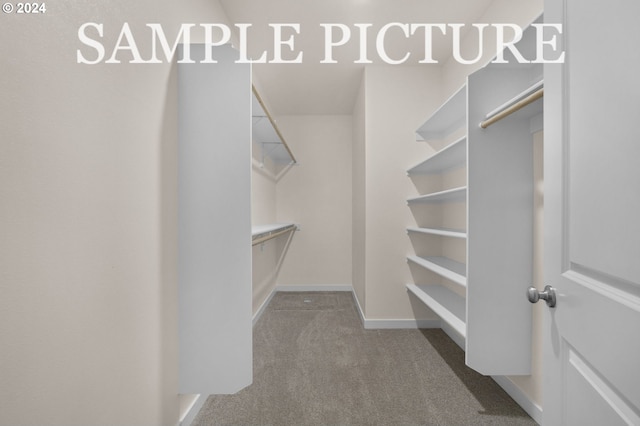 spacious closet with carpet