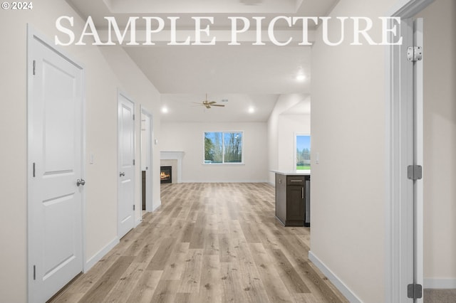 hall featuring light hardwood / wood-style floors