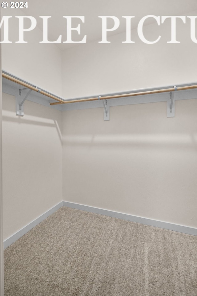 walk in closet with carpet