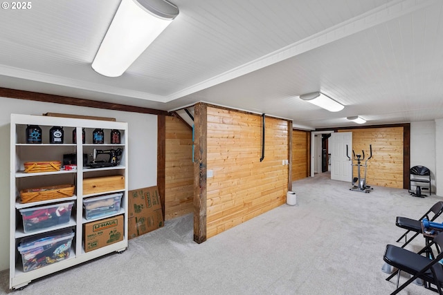 finished below grade area with carpet and wood walls