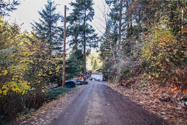 view of road featuring driveway