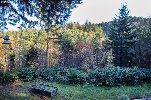 view of yard featuring a garden and a view of trees