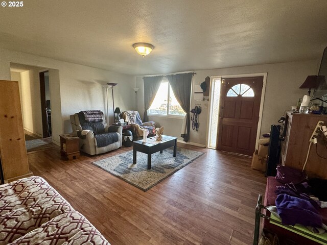 living room featuring hardwood / wood-style flooring and a textured ceiling