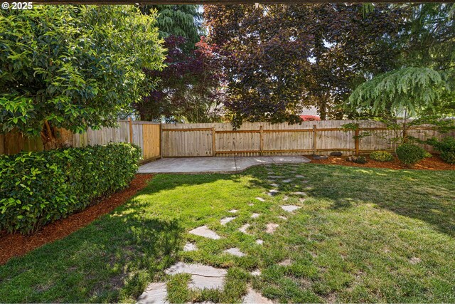 view of yard featuring a patio