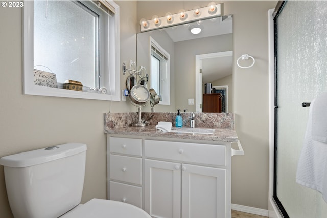 bathroom with toilet and vanity