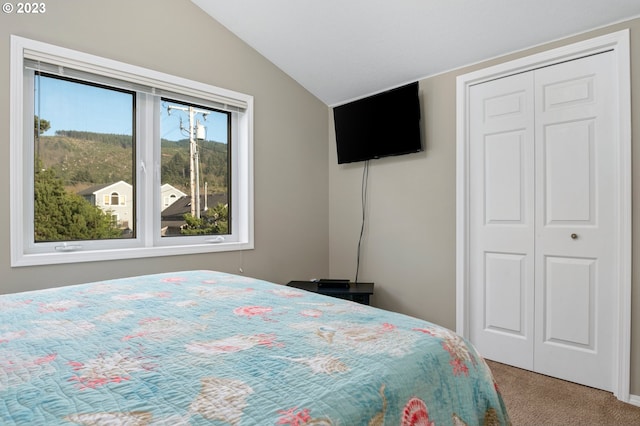 bedroom with carpet flooring, a closet, and vaulted ceiling