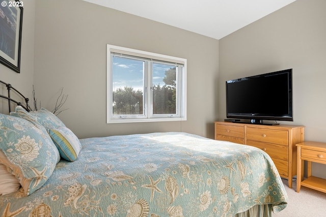 bedroom with carpet flooring