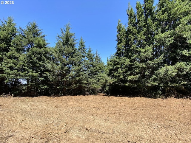 Listing photo 3 for Vista St, Port Orford OR 97465