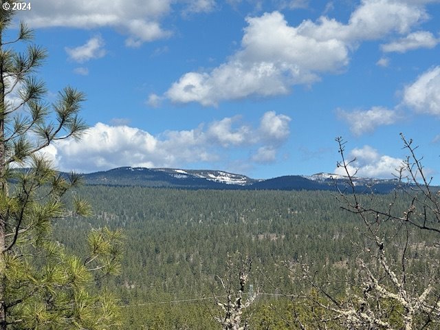 104 Jenkins Creek Rd, Goldendale, WA 98620
