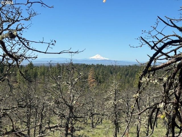 104 Jenkins Creek Rd, Goldendale, WA 98620