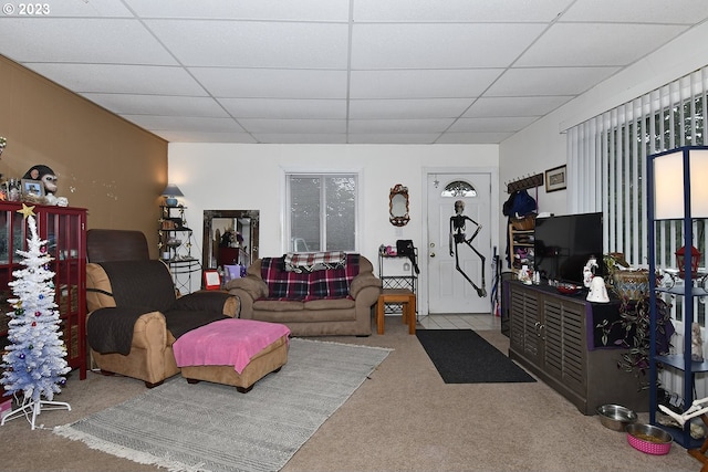 living room with a drop ceiling and carpet floors