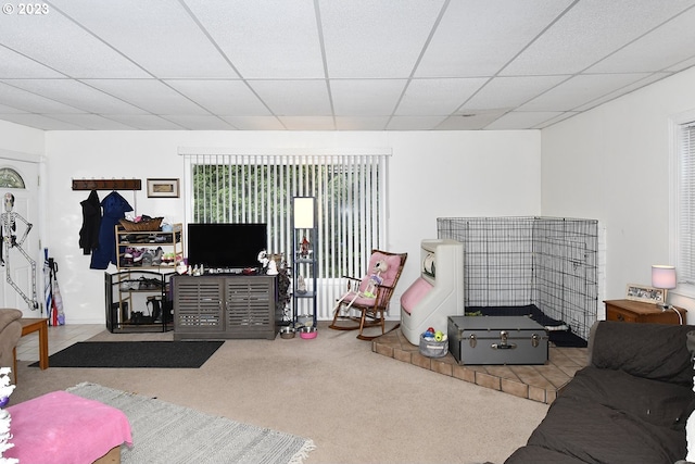 living room featuring a paneled ceiling and carpet flooring