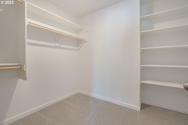 walk in closet featuring light carpet