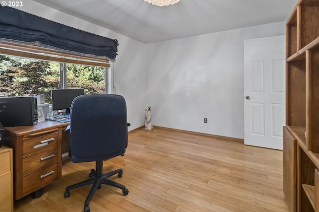 office featuring light hardwood / wood-style flooring