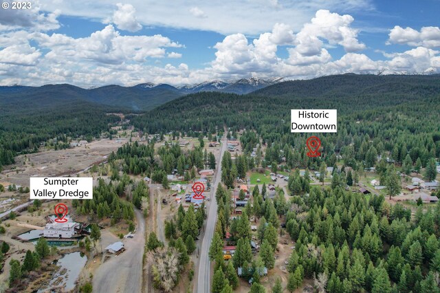 363 S Mill St, Sumpter, OR 97877 - aerial view with a mountain view