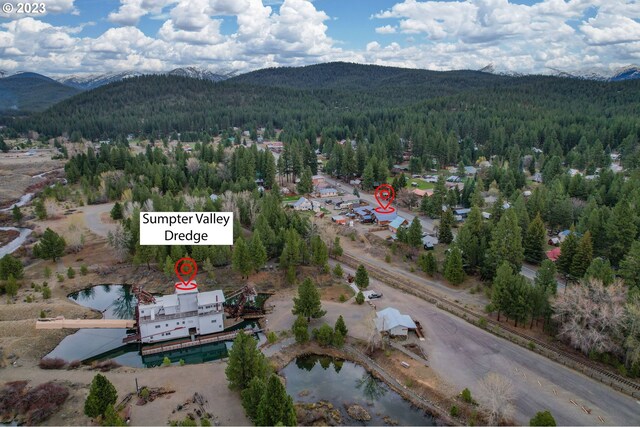 363 S Mill St, Sumpter, OR 97877 - aerial view with a water and mountain view