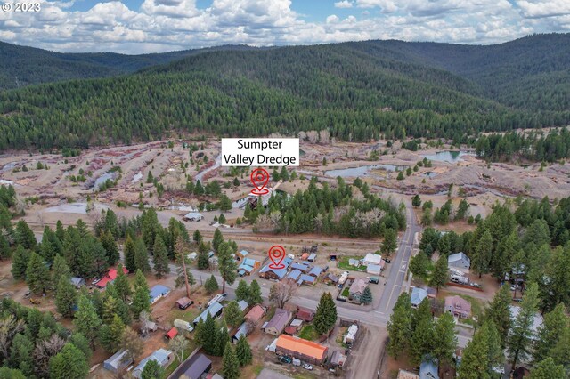 363 S Mill St, Sumpter, OR 97877 - birds eye view of property featuring a mountain view