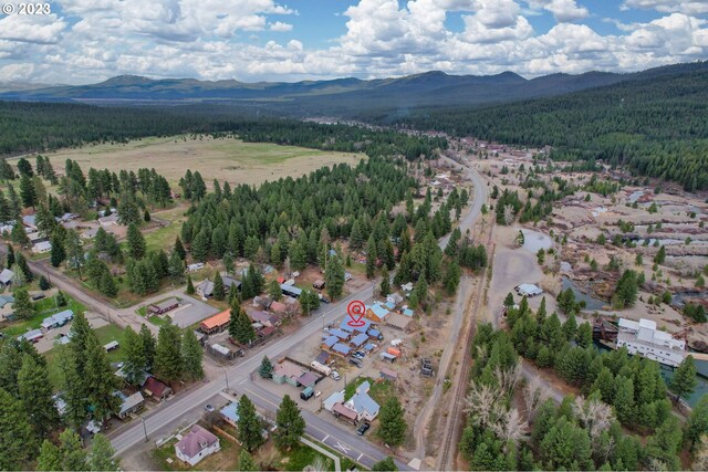 363 S Mill St, Sumpter, OR 97877 - drone / aerial view featuring a mountain view