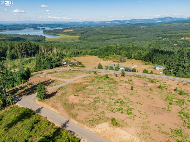 Listing photo 2 for 120 Red Hawk Unit 2, Castle Rock WA 98611