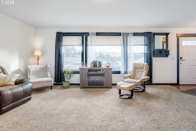 sitting room featuring carpet floors