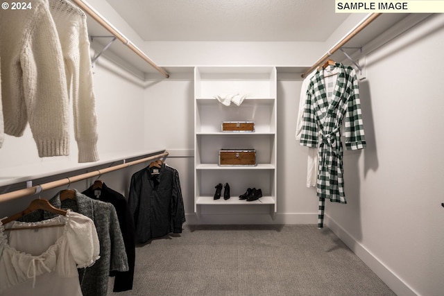 spacious closet with carpet