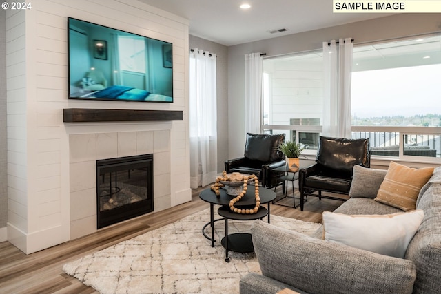 living room featuring a fireplace, light hardwood / wood-style flooring, and a healthy amount of sunlight