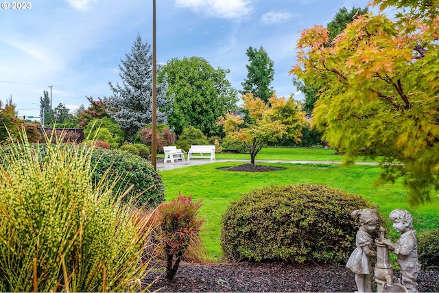 view of nearby features featuring a lawn