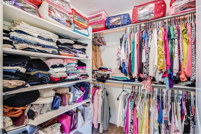 10703 NW Glenmore Way, Portland, OR 97229 - spacious closet with carpet flooring