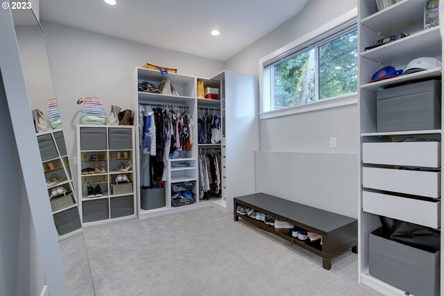 spacious closet featuring light colored carpet