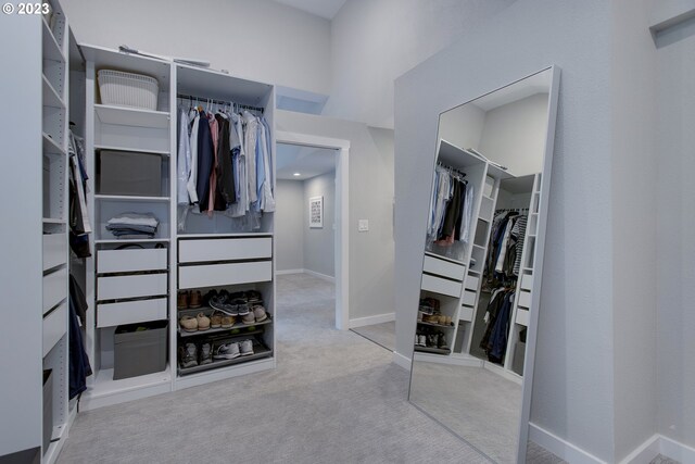 spacious closet featuring light colored carpet