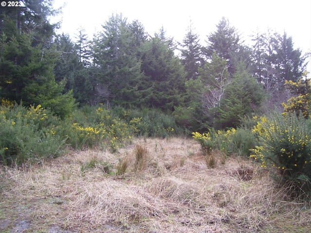 00 Ohio Ave, Bandon OR, 97411 land for sale