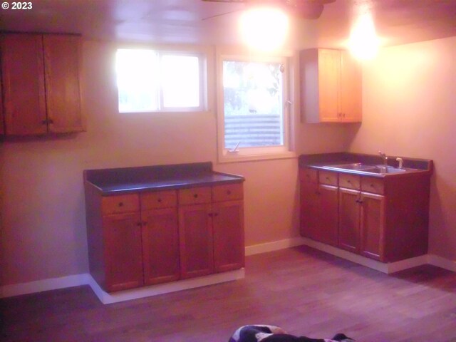 kitchen featuring ceiling fan, hardwood / wood-style flooring, and sink