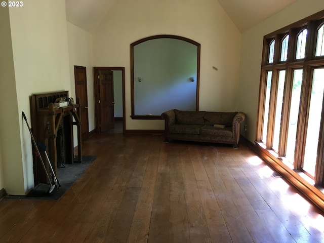 living area with dark hardwood / wood-style flooring, plenty of natural light, and high vaulted ceiling