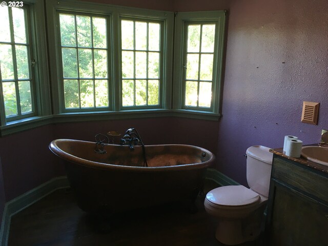 bathroom with plenty of natural light, sink, a bathtub, and toilet