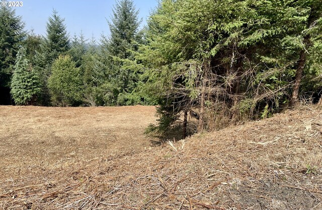 0 Silver Rd, Coos Bay, OR 97420