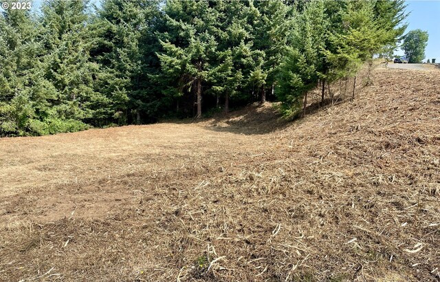 0 Silver Rd, Coos Bay, OR 97420