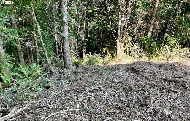 0 Silver Rd, Coos Bay, OR 97420