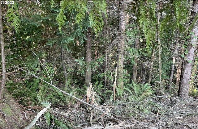 0 Silver Rd, Coos Bay, OR 97420