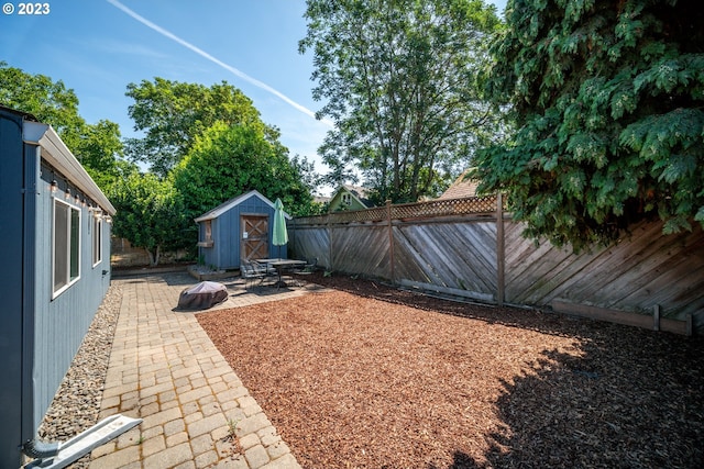 view of yard with a patio and a storage shed