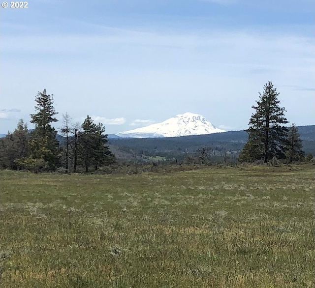 15 Glenkinchie Rd, Goldendale WA, 98620 land for sale