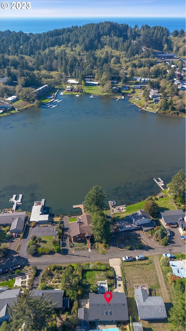 drone / aerial view with a water view