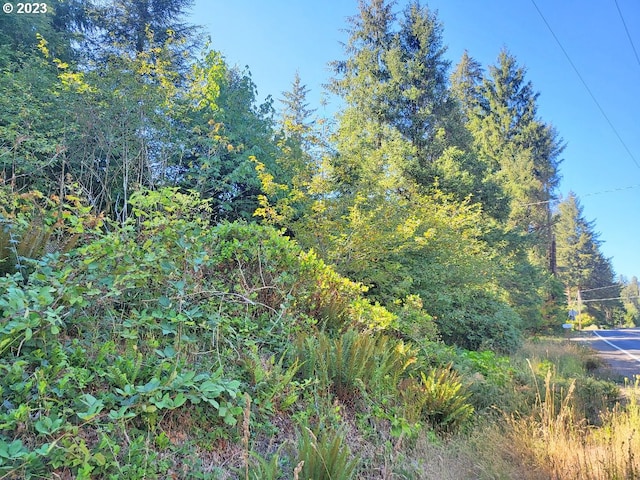 Listing photo 3 for Miami Foley Rd Unit 800, Nehalem OR 97131