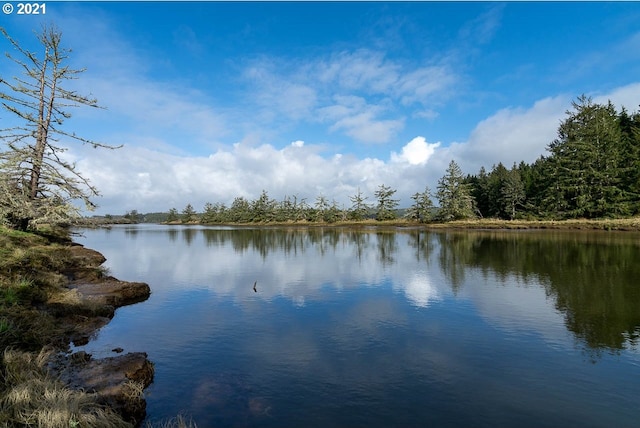 Palix Ln Unit 10, South Bend WA, 98586 land for sale